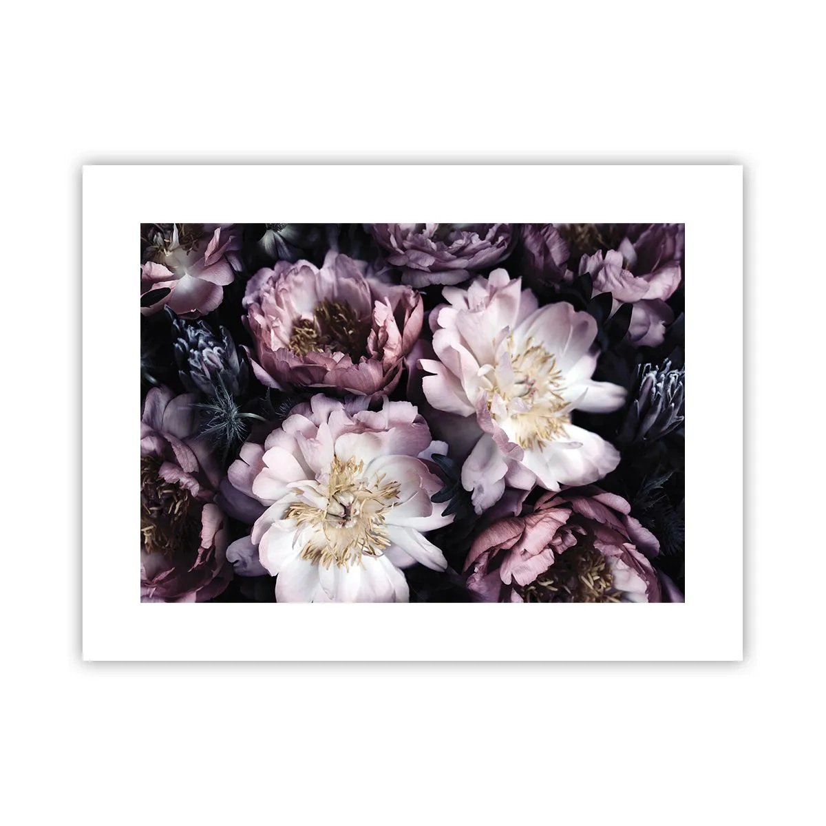Poster - Boeket ouderwets - 40x30 cm