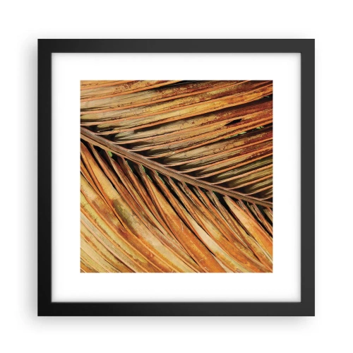 Poster in een zwarte lijst - Kokos goud - 30x30 cm