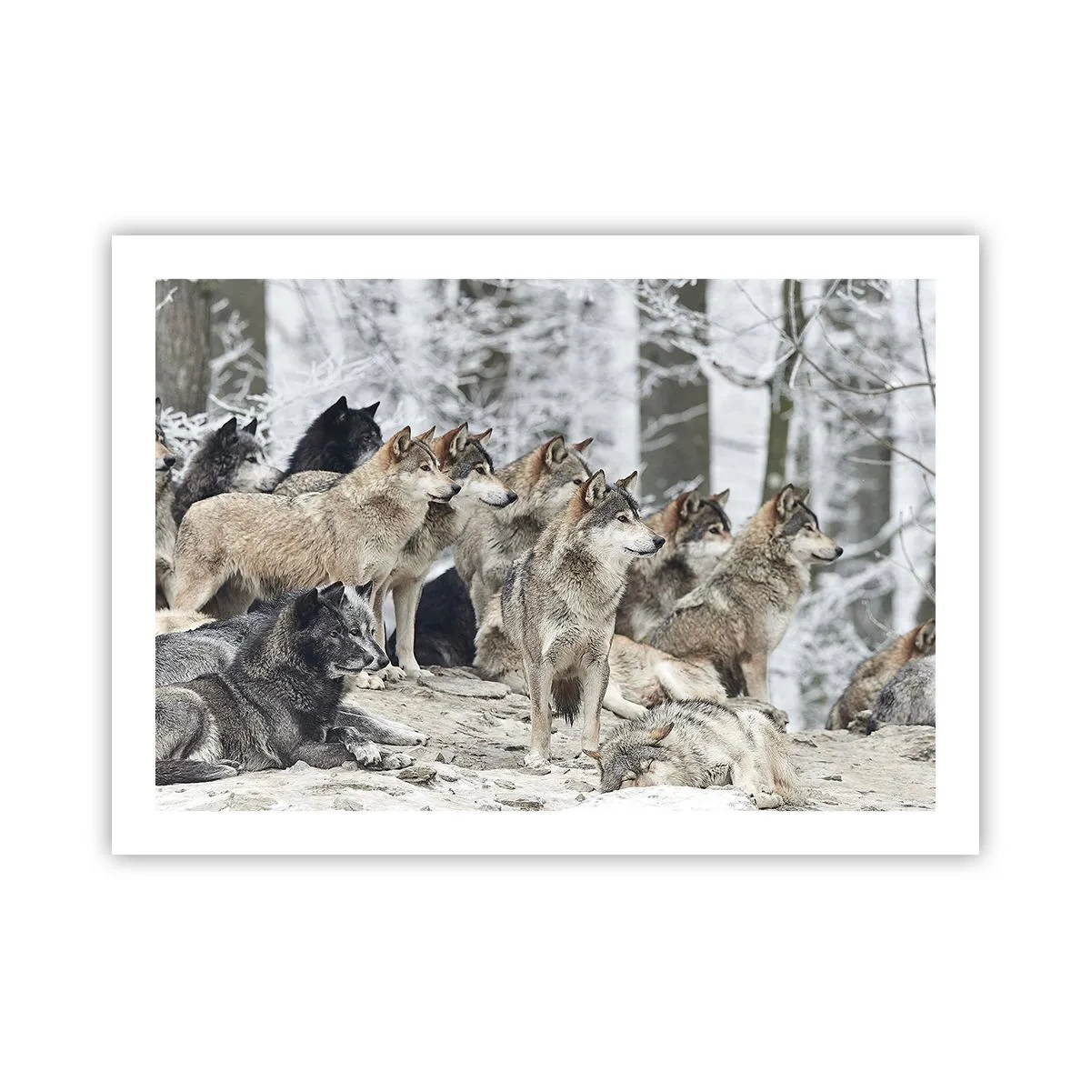 Poster - Familie en vrienden - 70x50 cm