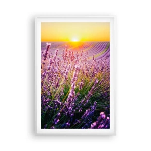 Poster in een witte lijst - Geurige korenvelden - 61x91 cm