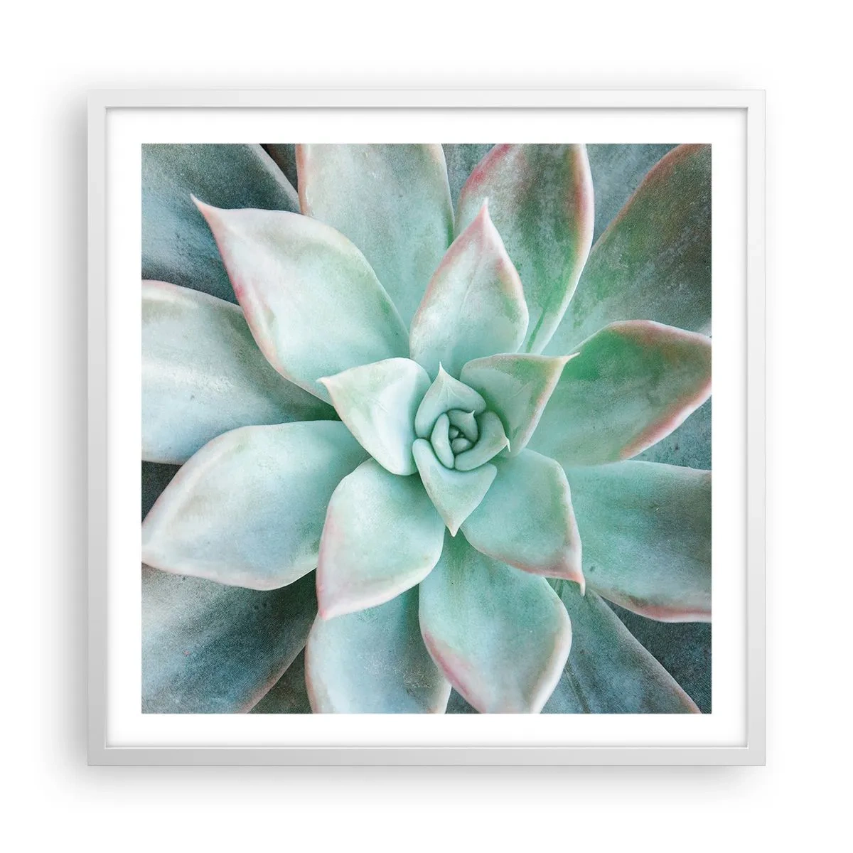 Poster in een witte lijst - Het hart van de woestijn - 60x60 cm