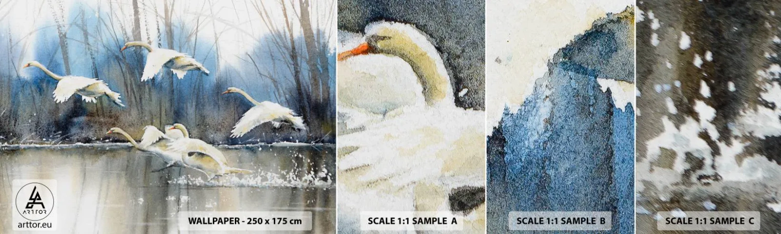 Fotobehang Staaltje Standard Eco - Zoals in het sprookje over wilde zwanen - Zwanen, Vogels, Landschap - 100x30 cm