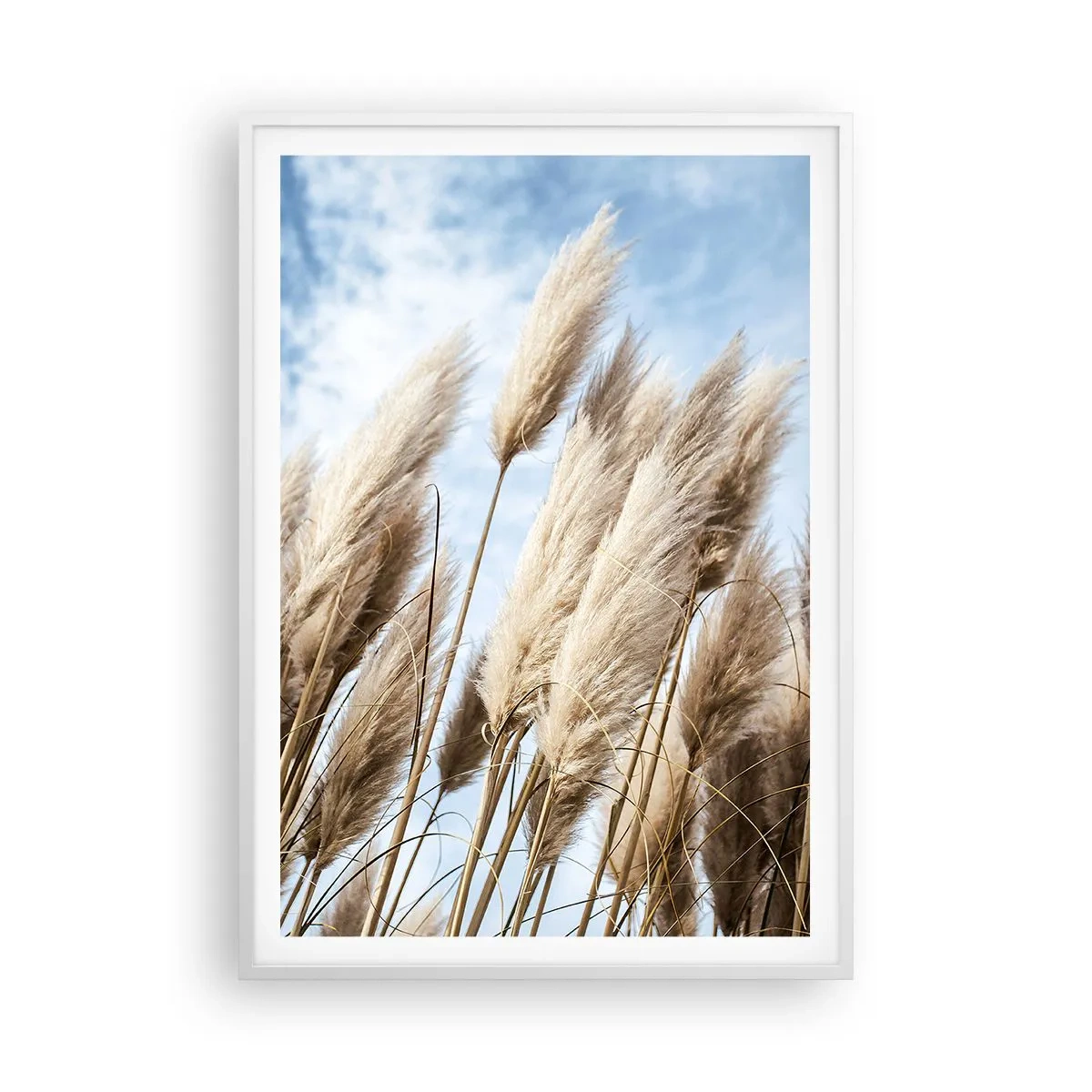 Poster in een witte lijst - Zonnige en winderige streling - 70x100 cm