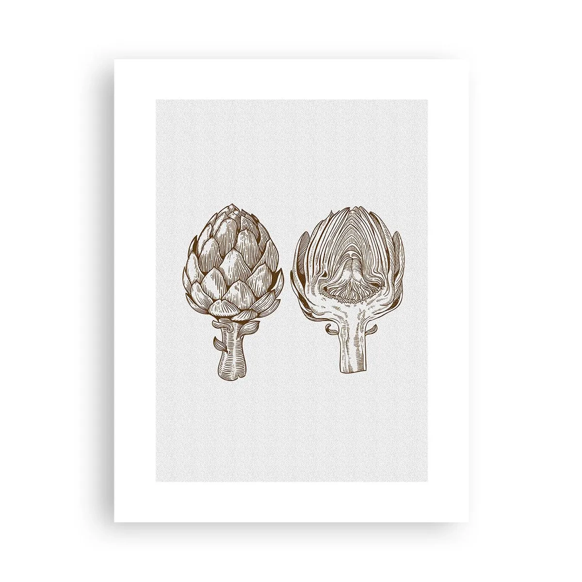 Poster - Anatomieles - 30x40 cm