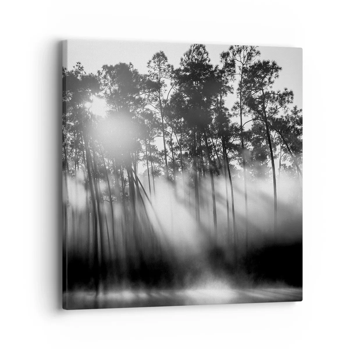 Schilderen op canvas - Niet te stoppen zon - 40x40 cm