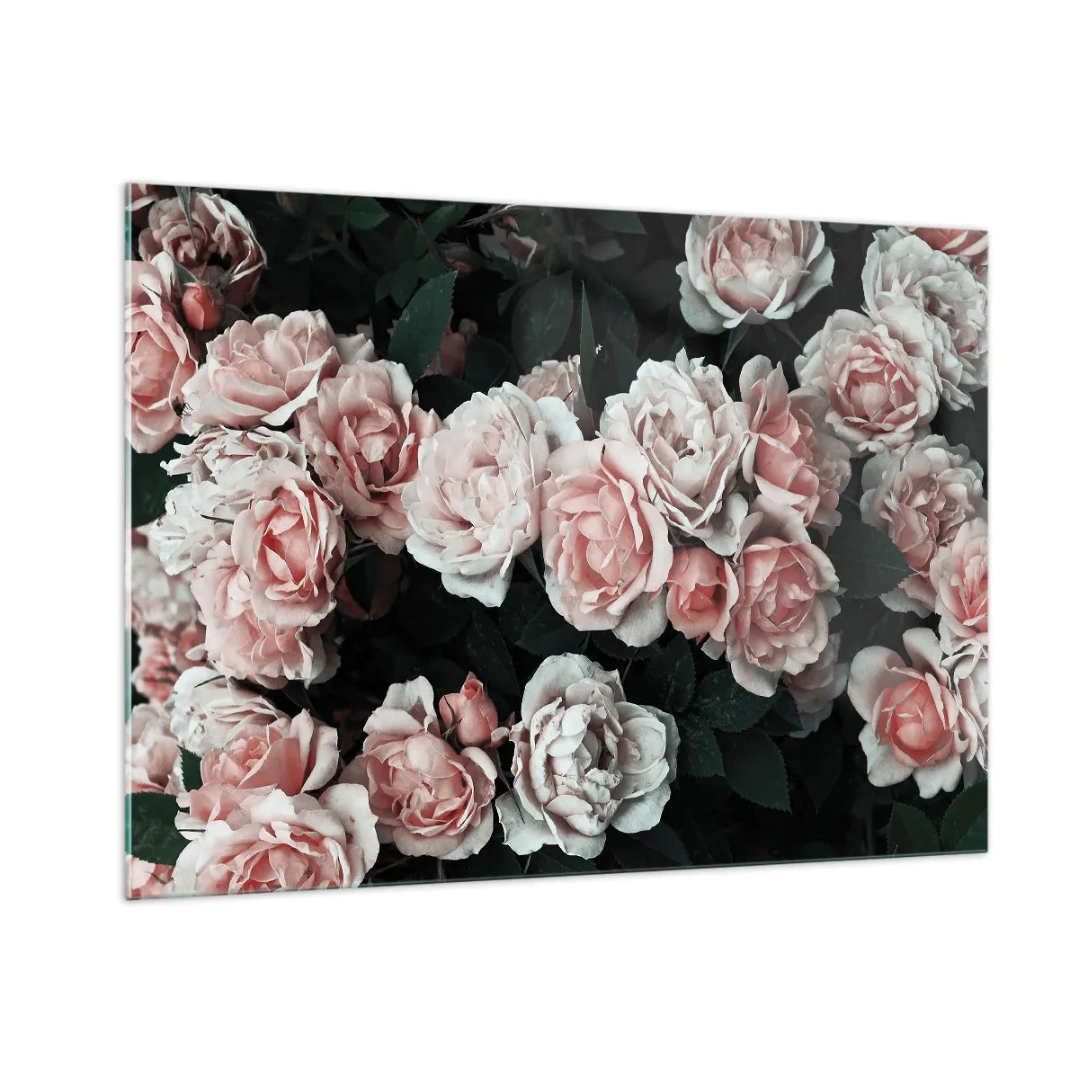 Schilderen op glas - Rozen ensemble - 100x70 cm