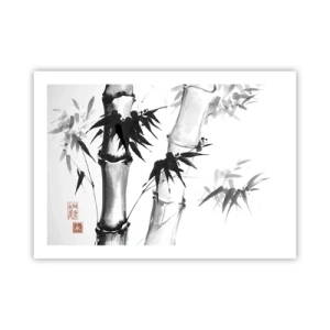 Poster - Close-up op het oosten - 70x50 cm