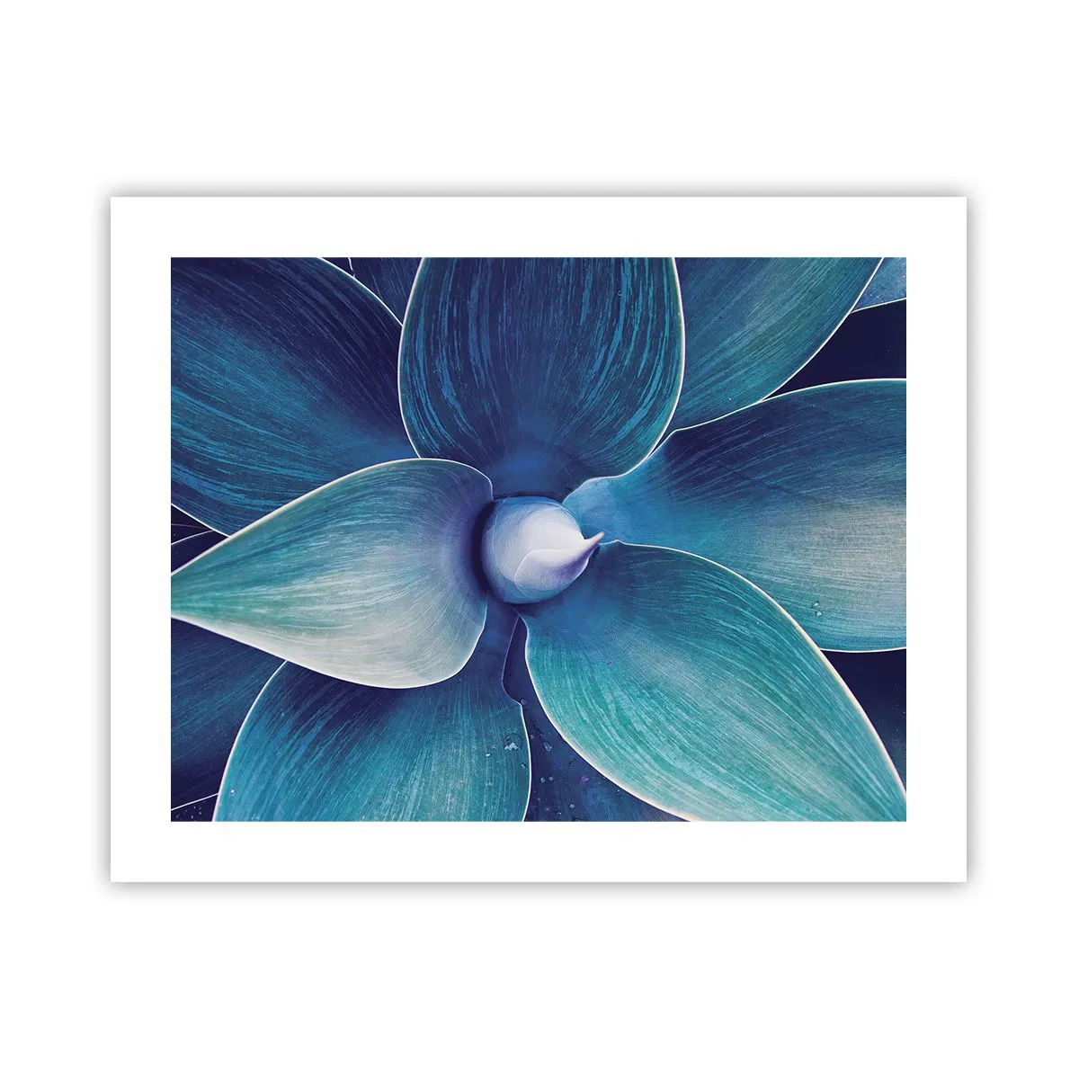 Poster - Blauw uit de lucht - 50x40 cm