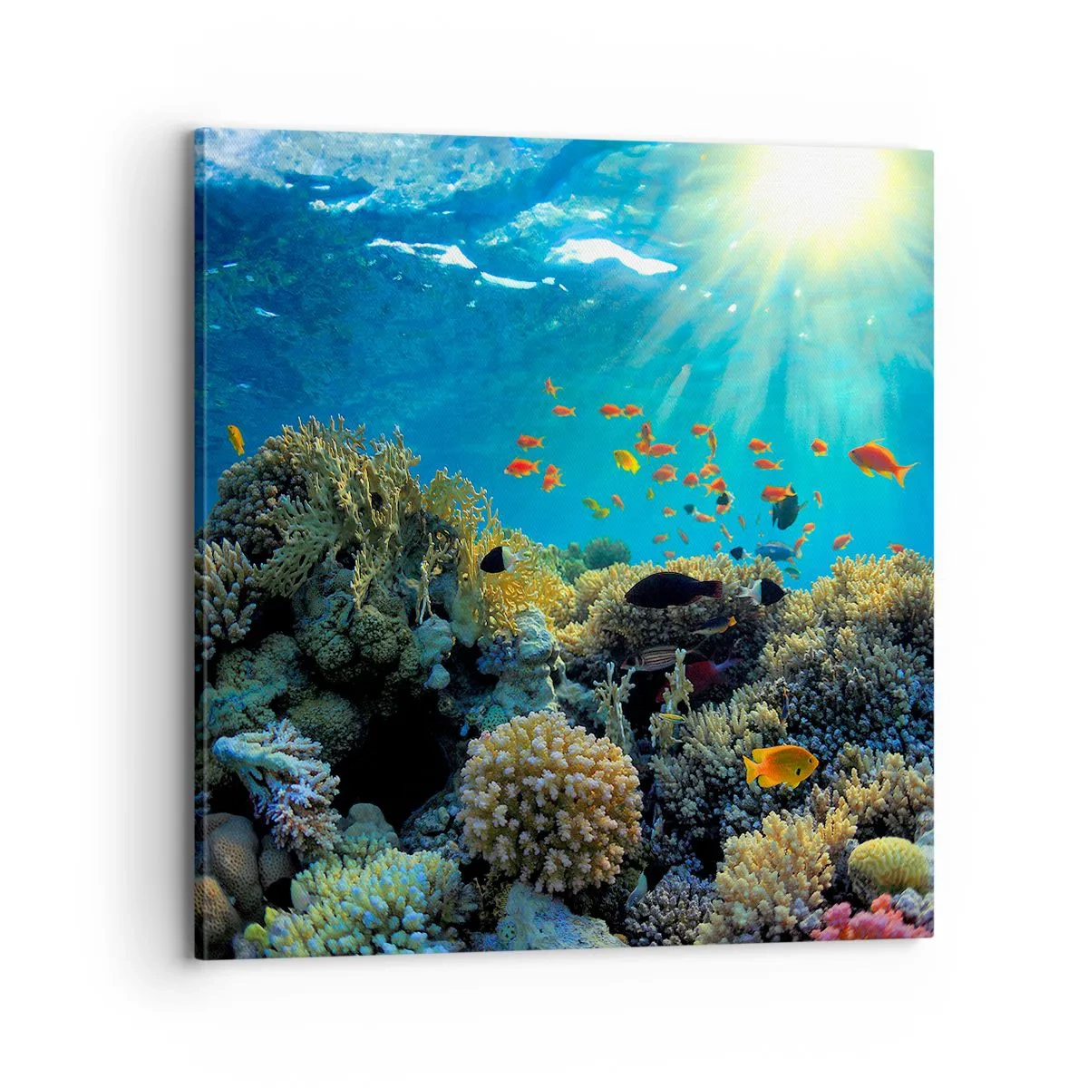 Schilderen op canvas - Onderwater schatten - 70x70 cm