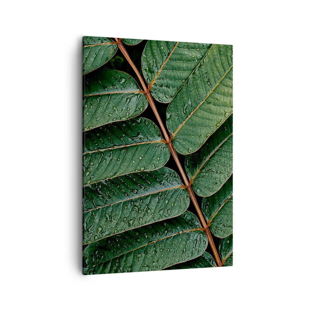 Schilderen op canvas - In een groen ritme - 50x70 cm