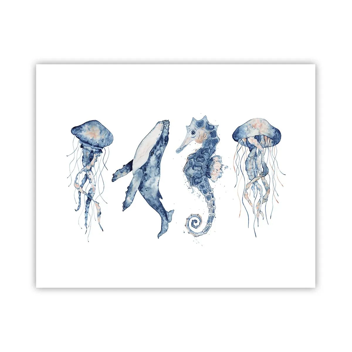 Poster - Zee wonderen - 50x40 cm
