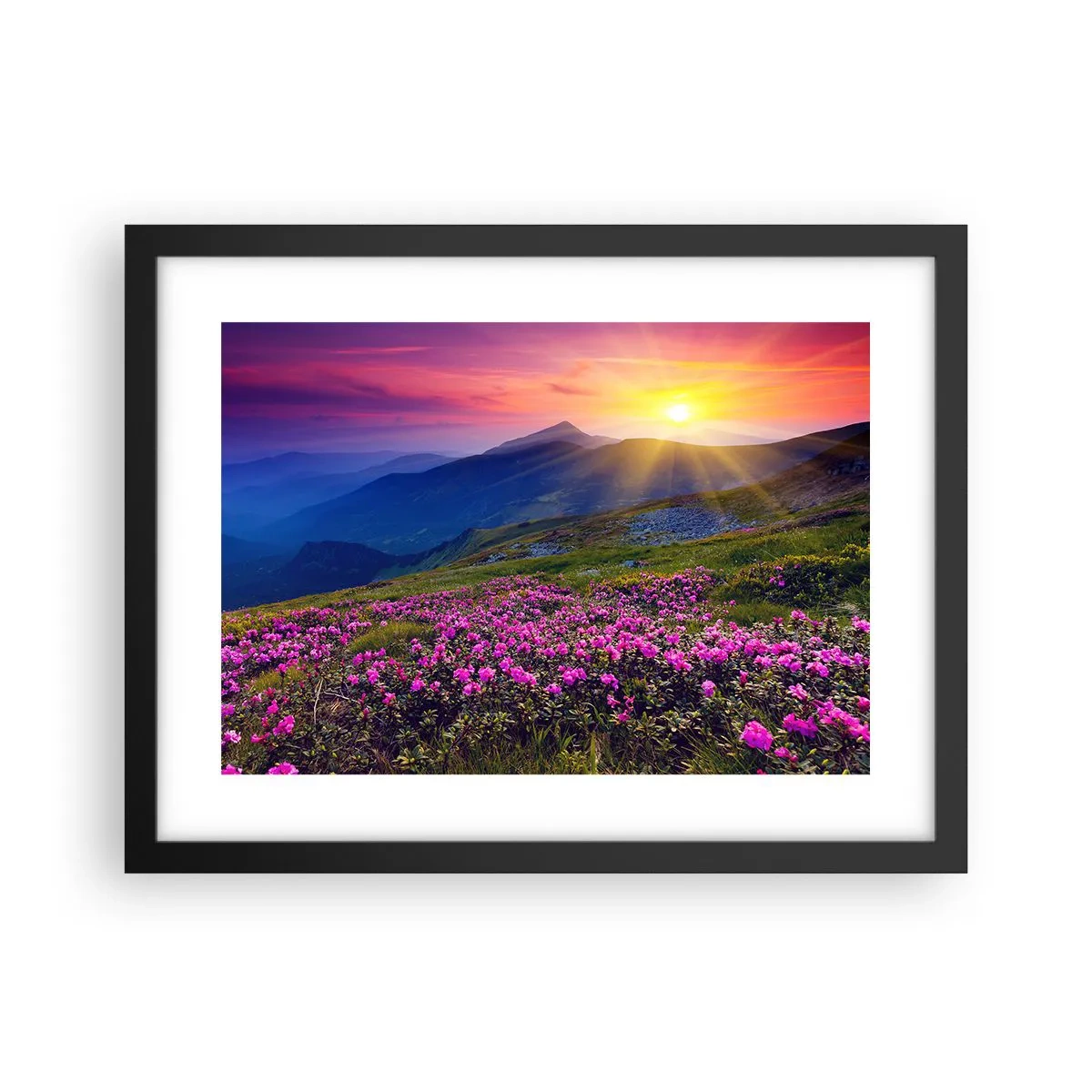 Poster in een zwarte lijst - … En eromheen ruikt het naar bergdennen en de geur van kruiden - 40x30 cm