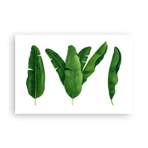 Poster - Groene symmetrie - 91x61 cm