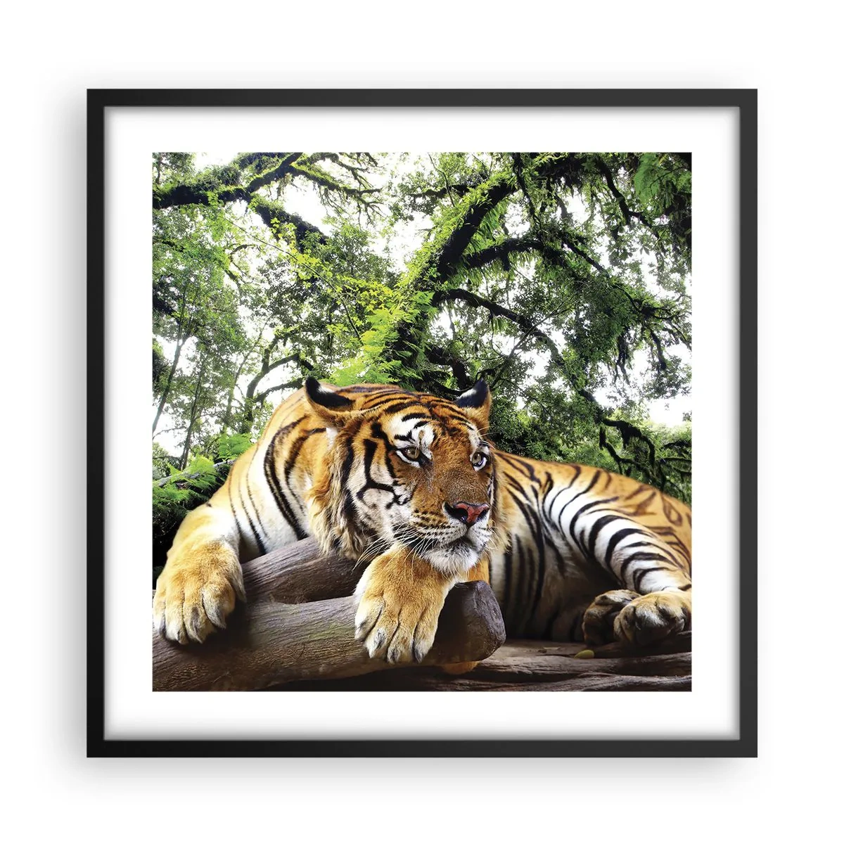 Poster in een zwarte lijst - Met vriendelijke groet - 50x50 cm