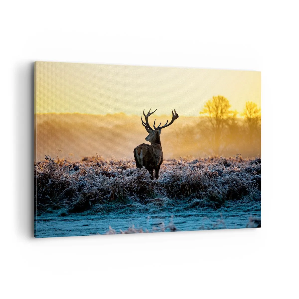 Schilderen op canvas - Gekroond op zijn landgoed - 100x70 cm