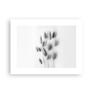 Poster - Haar luchtigheid gras - 40x30 cm