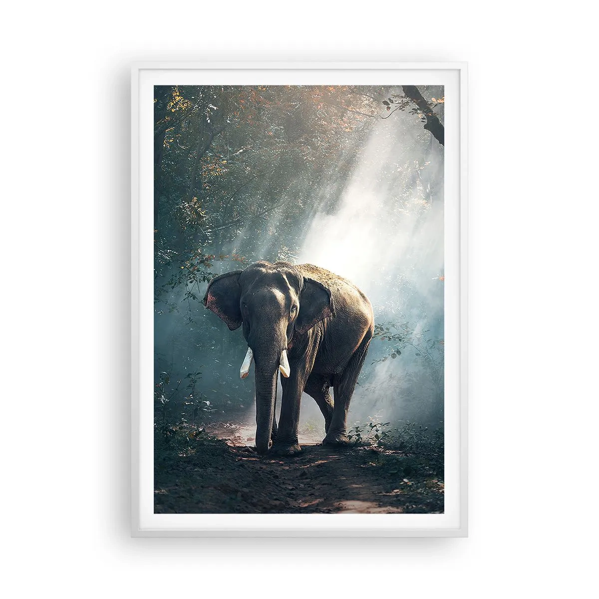 Poster in een witte lijst - Een ontspannen wandeling - 70x100 cm
