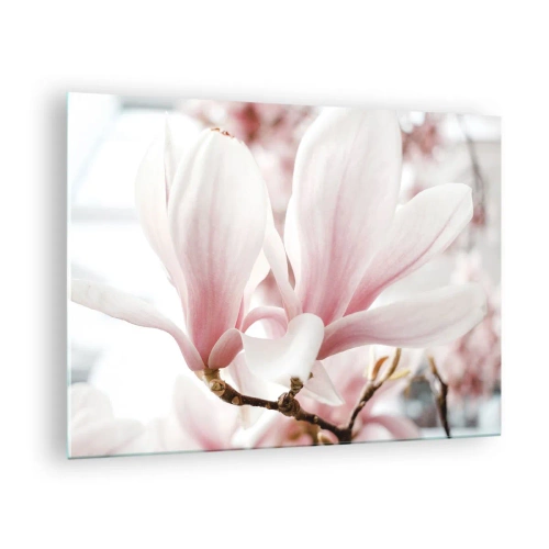 Schilderen op glas - Delicate roze magnolia's van dichtbij tegen een wazige achtergrond - 70x50cm - Een overvloed aan tederheid - Moderne wanddecoratie voor woonkamer en slaapkamer ARTTOR