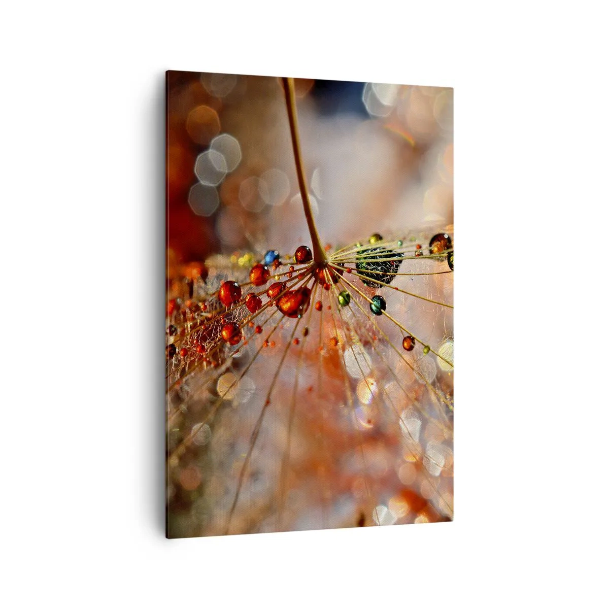 Schilderen op canvas - Geregen op een spinnendraad - 70x100 cm