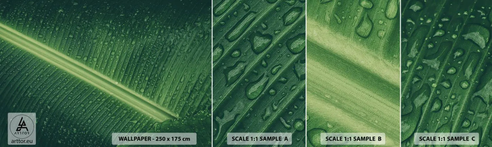 Fotobehang Monster Zelfklevend Deluxe Sticker - De structuur van groen - Groen blad, Tropische plant, Deel - 100x30 cm