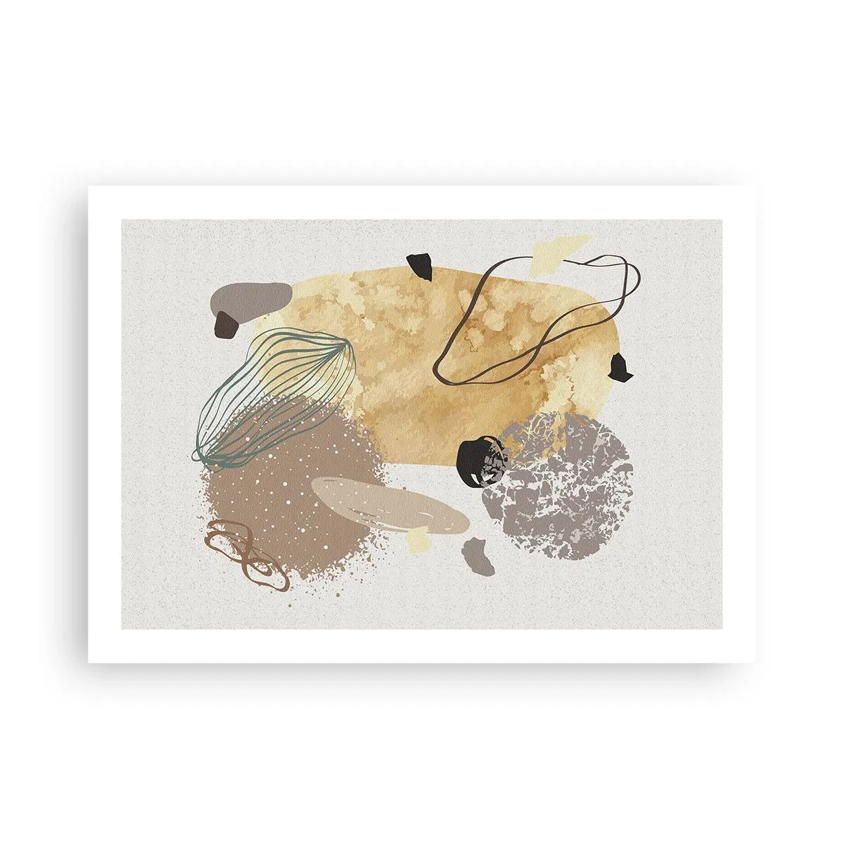 Poster - Toegepaste plumcologie - 70x50 cm