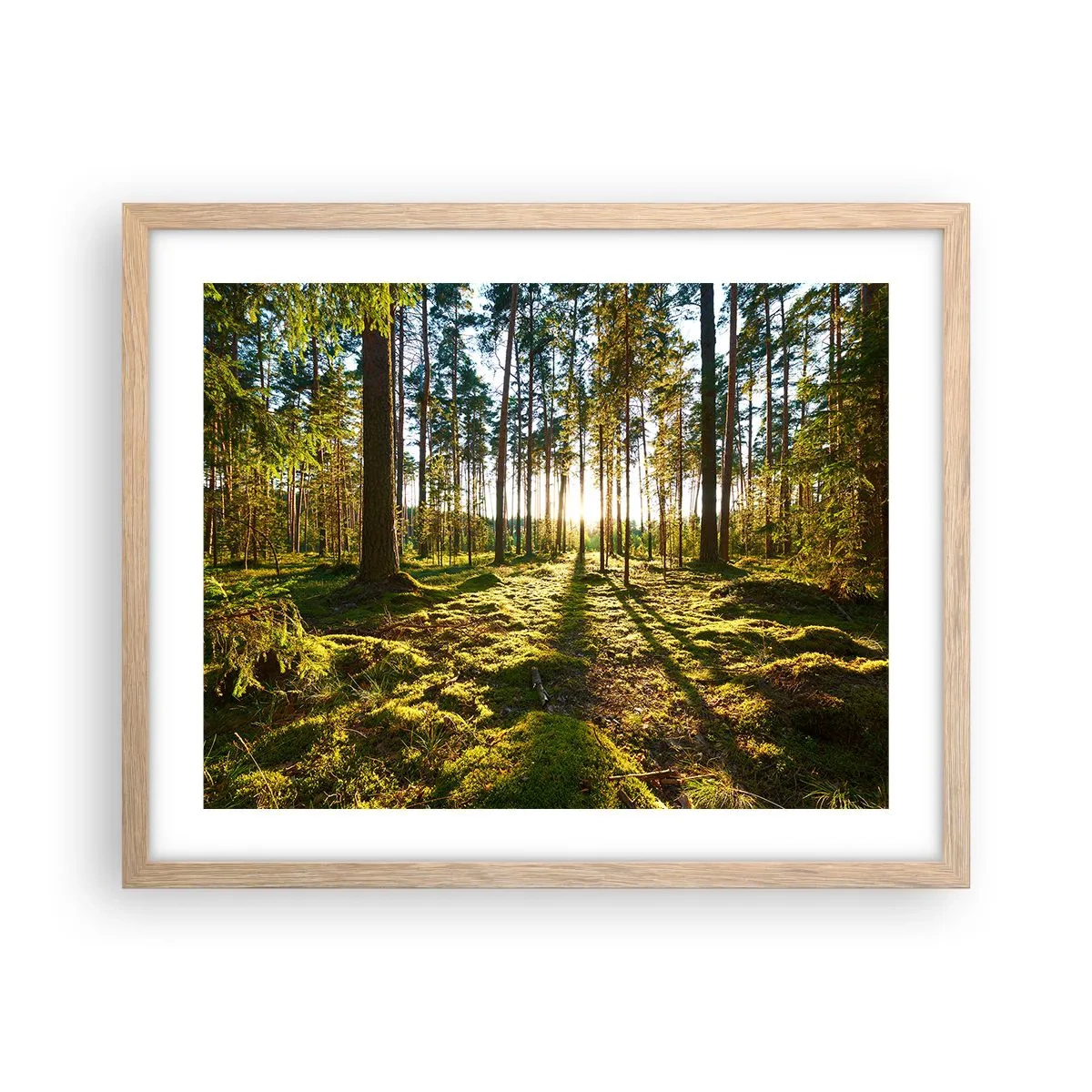 Een poster in een licht eiken lijst - … Achter de zeven bossen - 50x40 cm