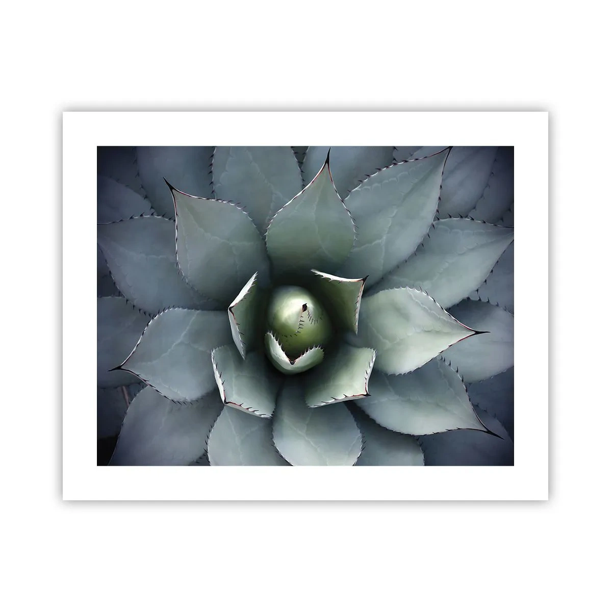 Poster - Het trekt aan en waarschuwt - 50x40 cm