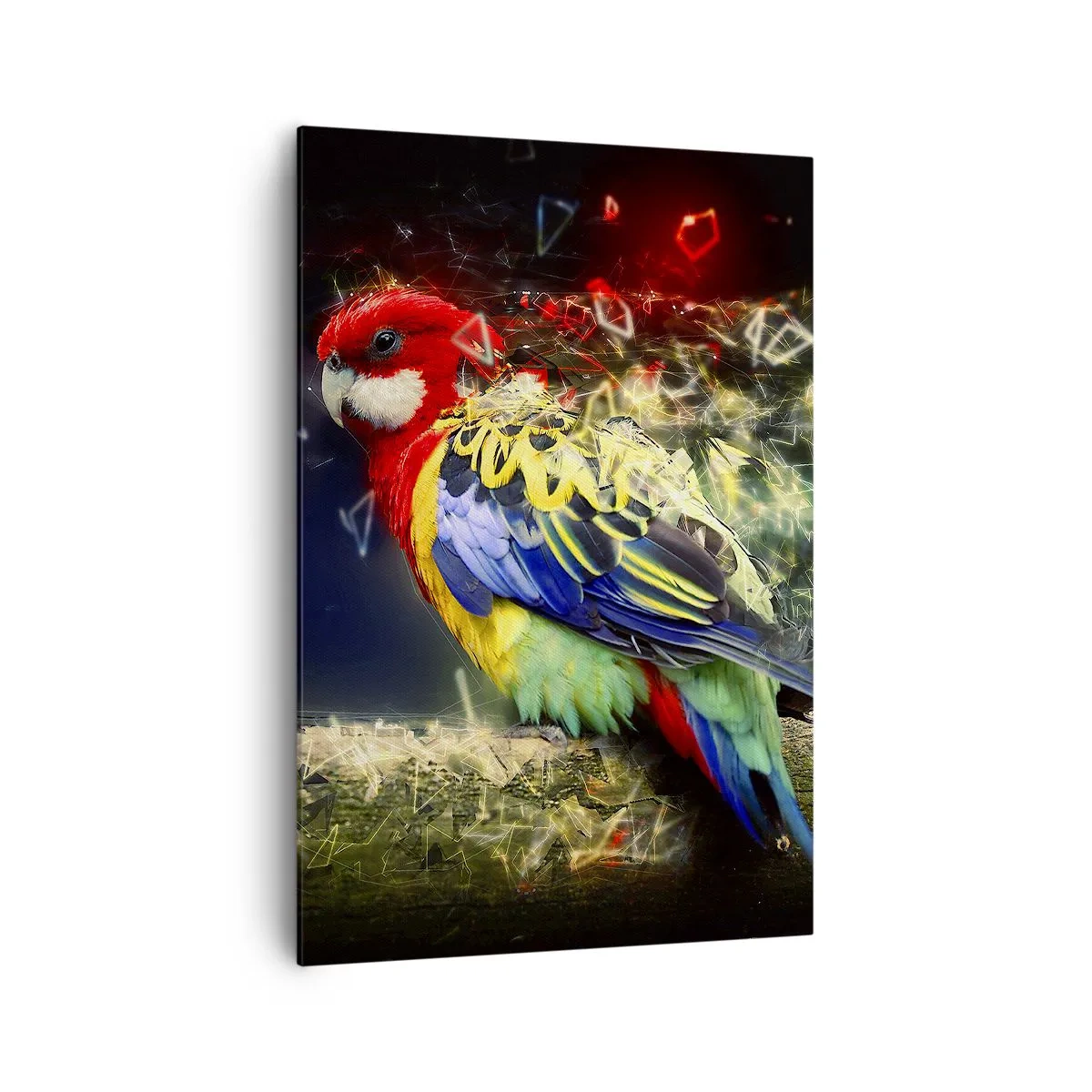 Schilderen op canvas - Boodschapper van uitstraling - 70x100 cm