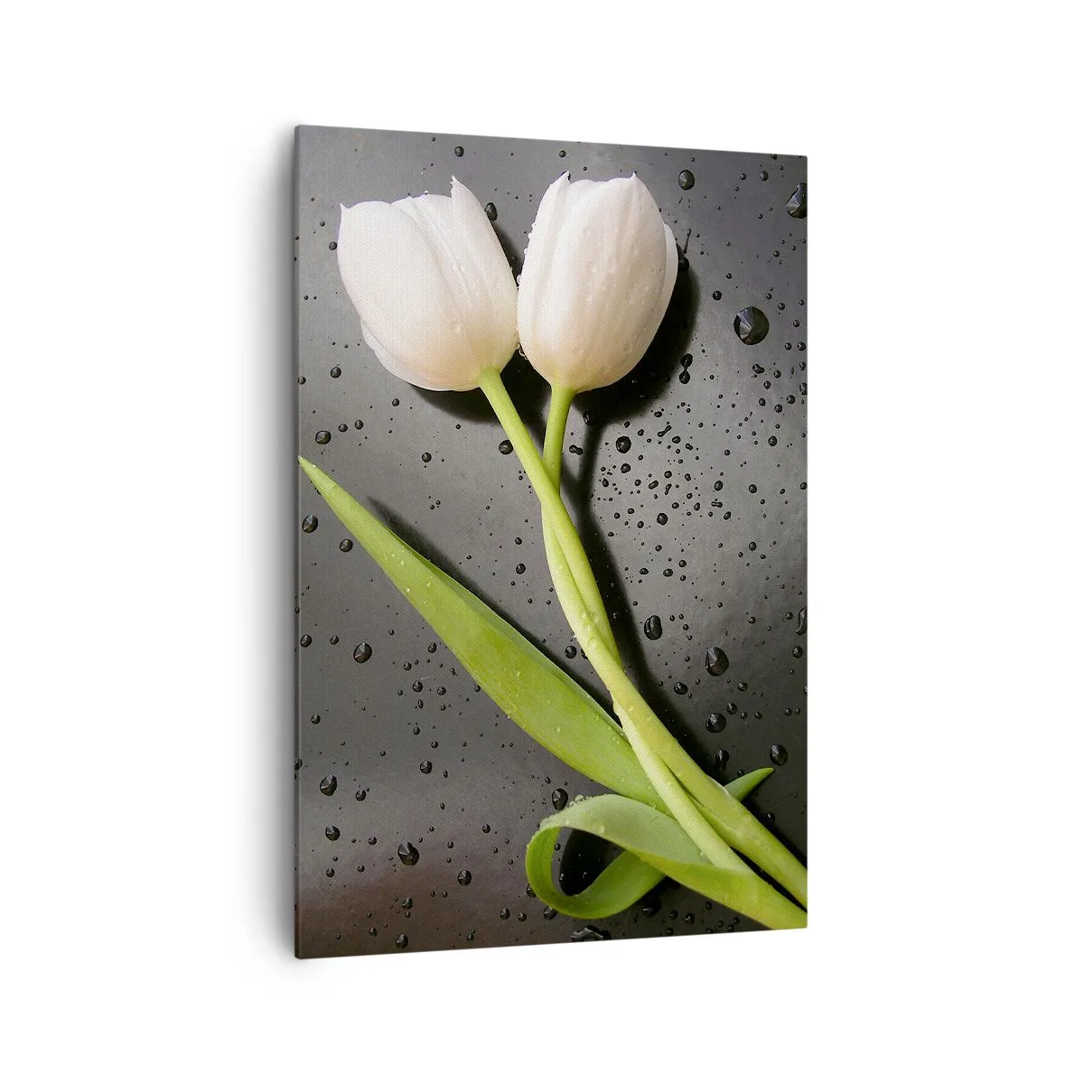 Schilderen op canvas - Lente weefsel - 70x100 cm