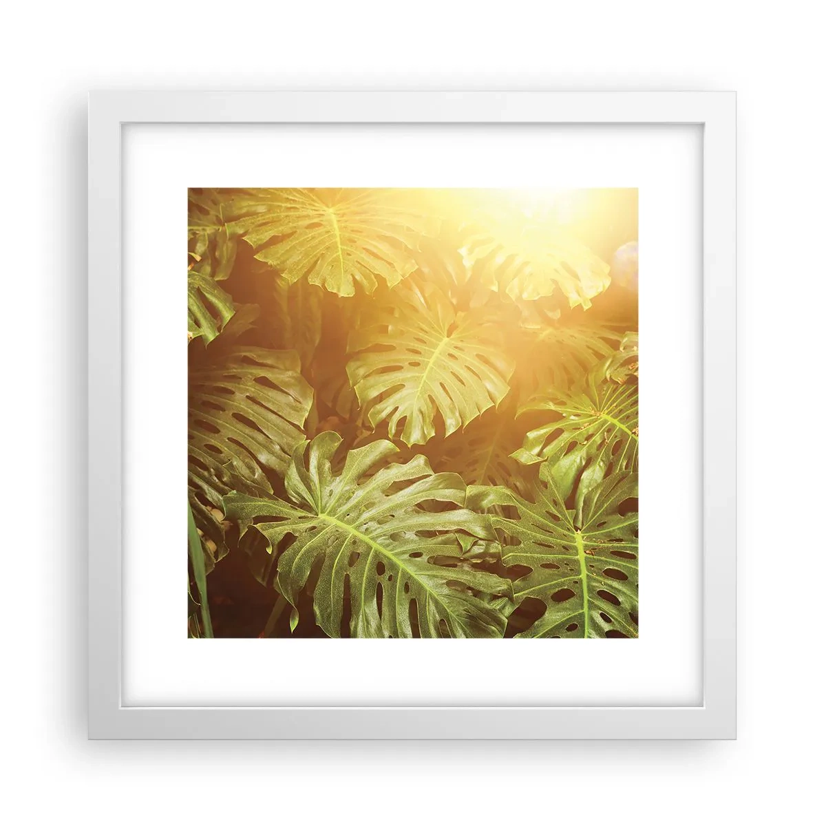Poster in een witte lijst - In het groen treden... - 30x30 cm