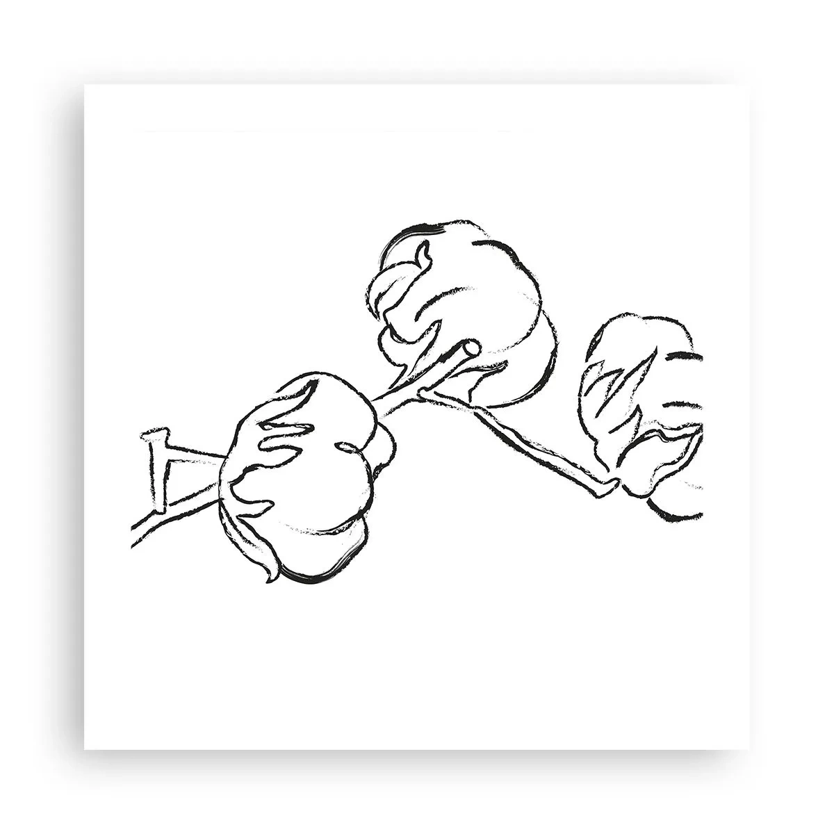 Poster - Katoen dons - 50x50 cm
