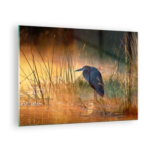 Schilderen op glas - Zonsondergang boven een meer met een reiger - 70x50cm - Kom op, geef me een pauze met deze foto's - Moderne wanddecoratie voor woonkamer en slaapkamer ARTTOR