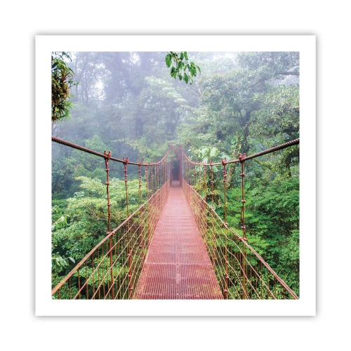 Poster - Opgehangen over de kronen - 60x60 cm