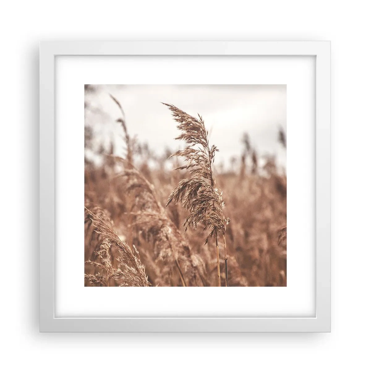 Poster in een witte lijst - Het is al herfst in de velden - 30x30 cm