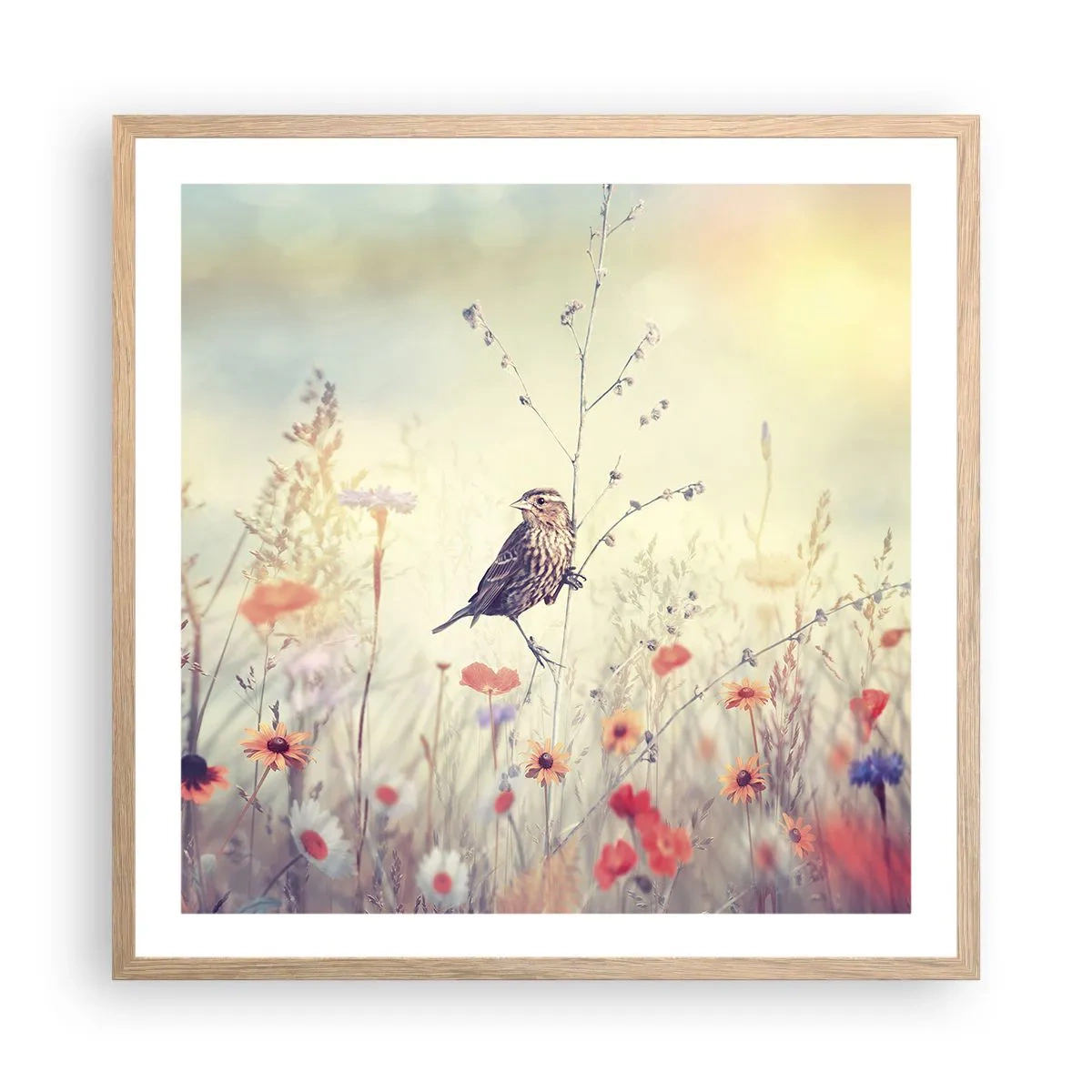 Een poster in een licht eiken lijst - Vogelportret met een weiland op de achtergrond - 60x60 cm