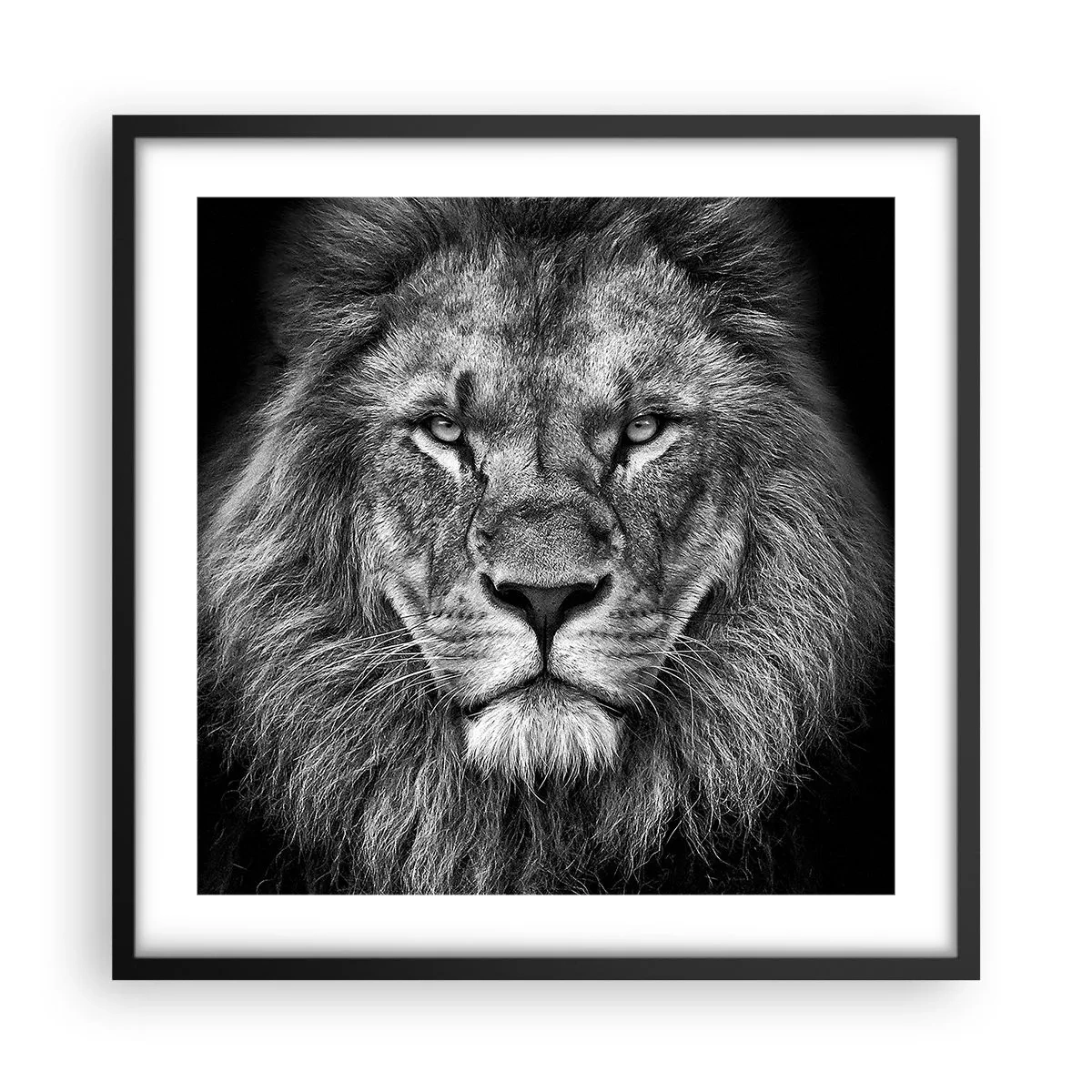 Poster in een zwarte lijst - In een kroningskleed - 50x50 cm