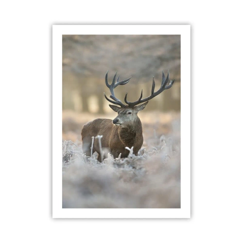 Poster - Een frisse ochtend - 50x70 cm