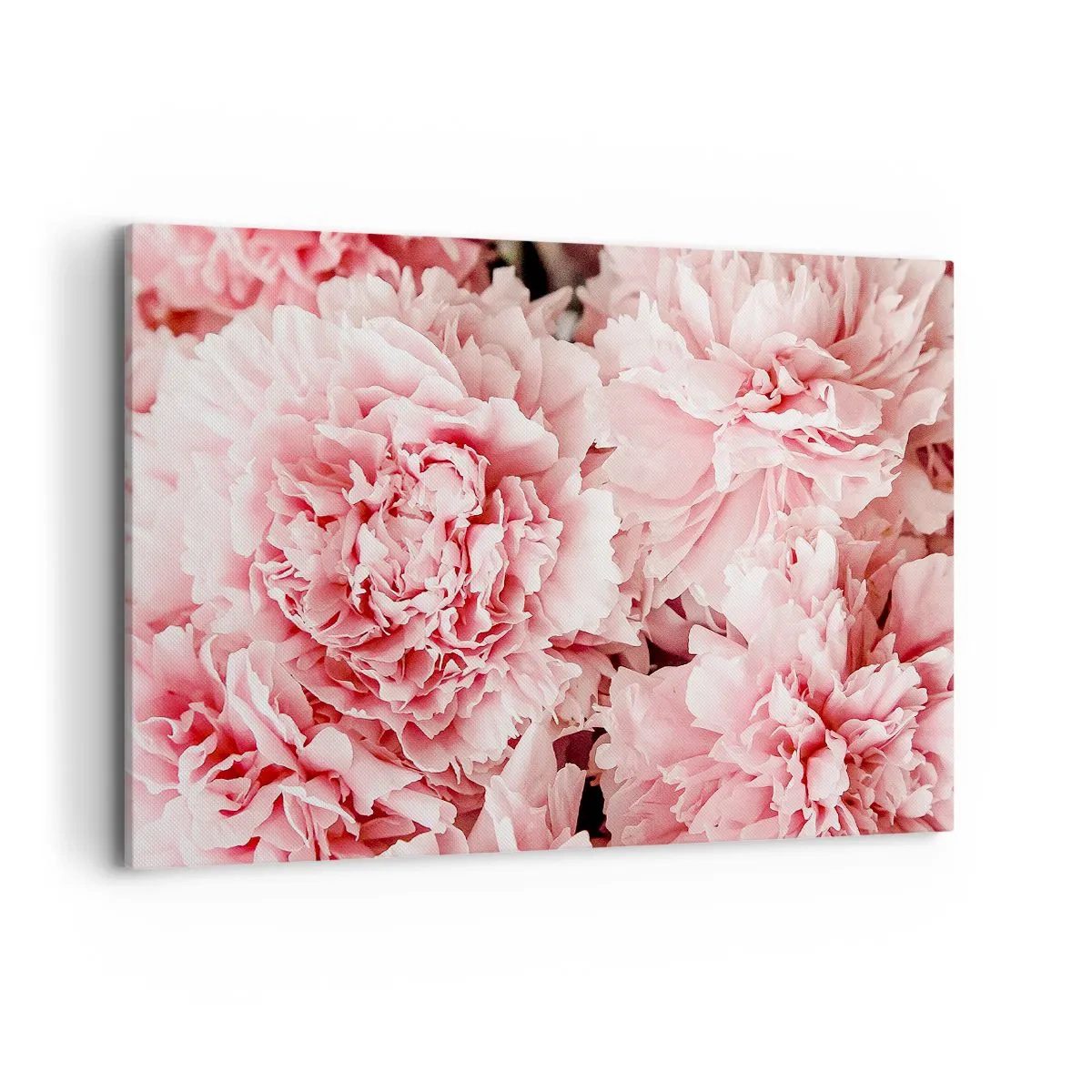Schilderen op canvas - Roze droom - 120x80 cm