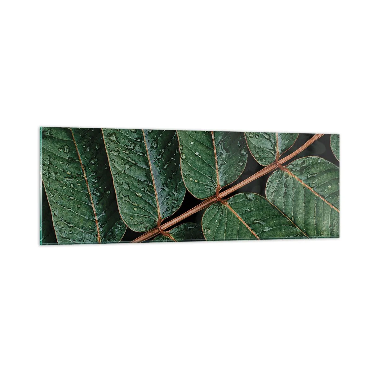 Schilderen op glas - In een groen ritme - 90x30 cm