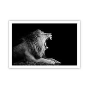 Poster - Zonder enige twijfel - 91x61 cm