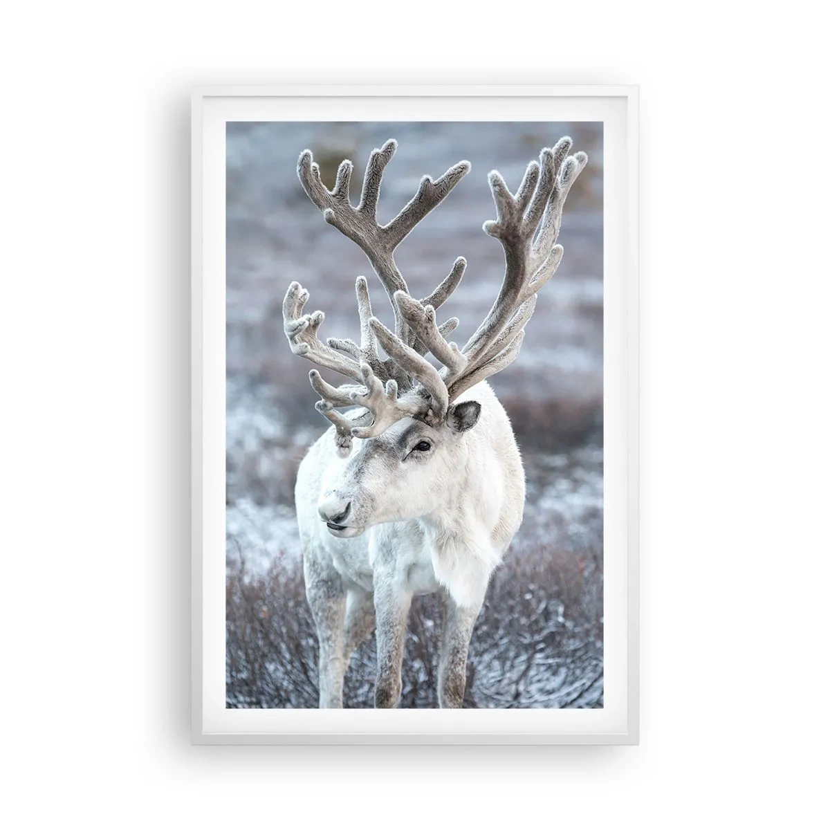Poster in een witte lijst - Portret in de zon - 61x91 cm
