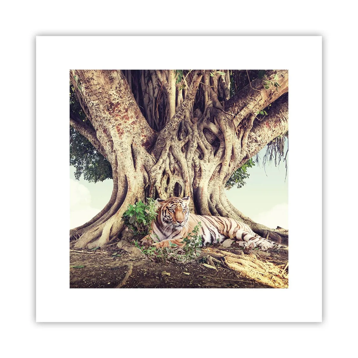 Poster - Uitzicht vanuit het boek Genesis - 30x30 cm