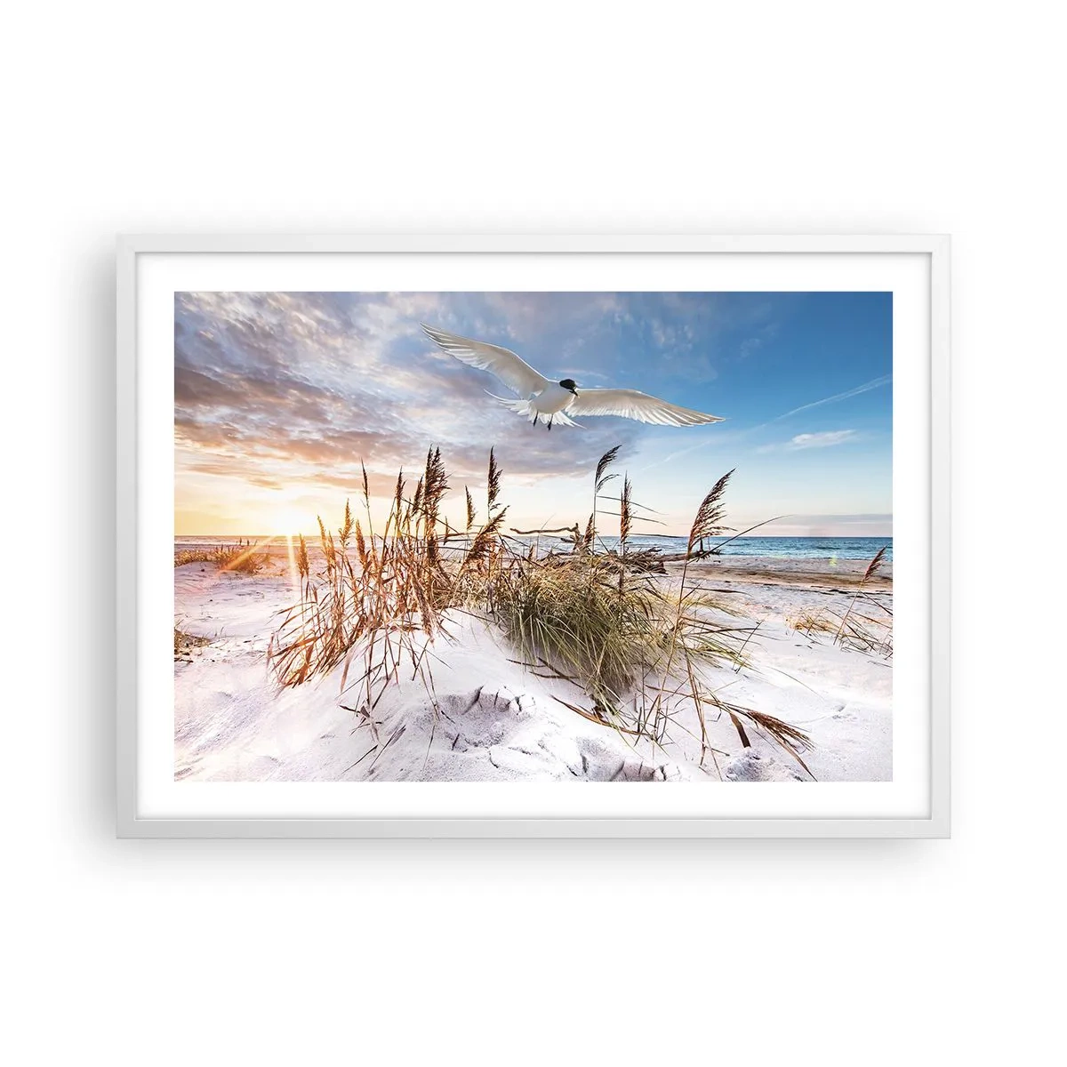 Poster in een witte lijst - Wind uit zee - 70x50 cm