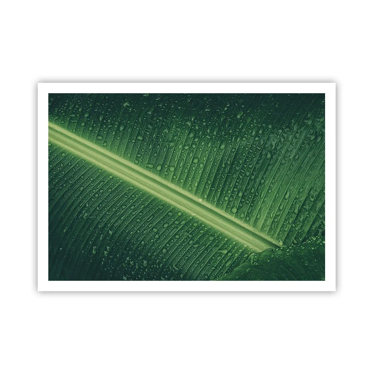 Poster - De structuur van groen - 100x70 cm