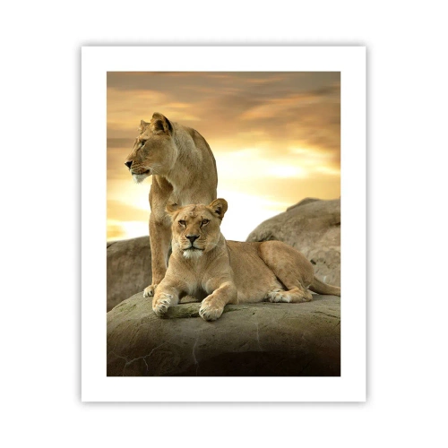 Poster - Koninklijke majesteit - 40x50 cm