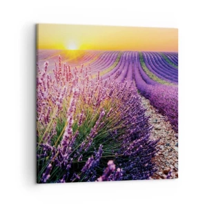 Schilderen op canvas - Geurige korenvelden - 50x50 cm