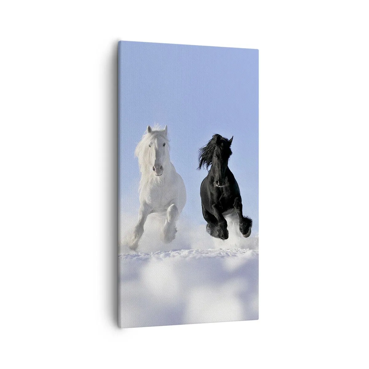 Schilderen op canvas - Zwart-wit galop - 55x100 cm
