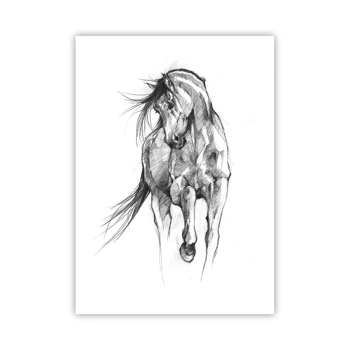 Poster - In een sierlijke draf - 50x70 cm