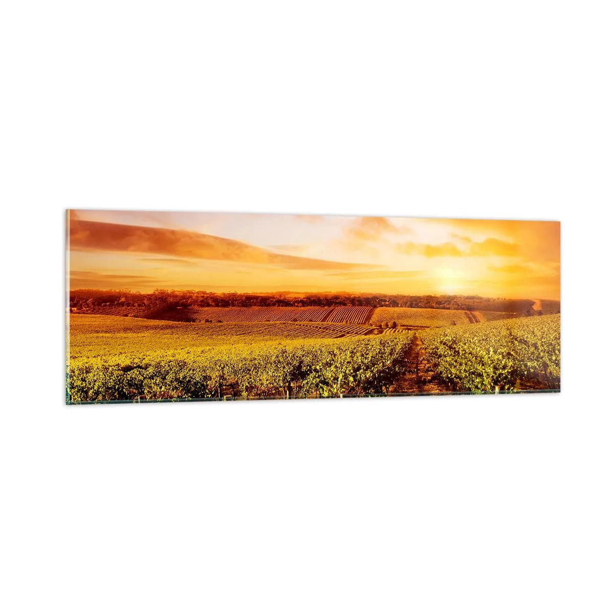 Schilderen op glas - Licht fruitig met een vleugje zonneschijn - 90x30 cm