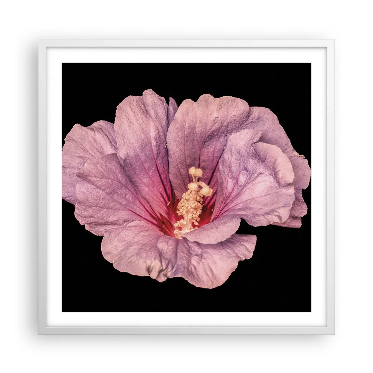 Poster in een witte lijst - Recht in het hart - 60x60 cm